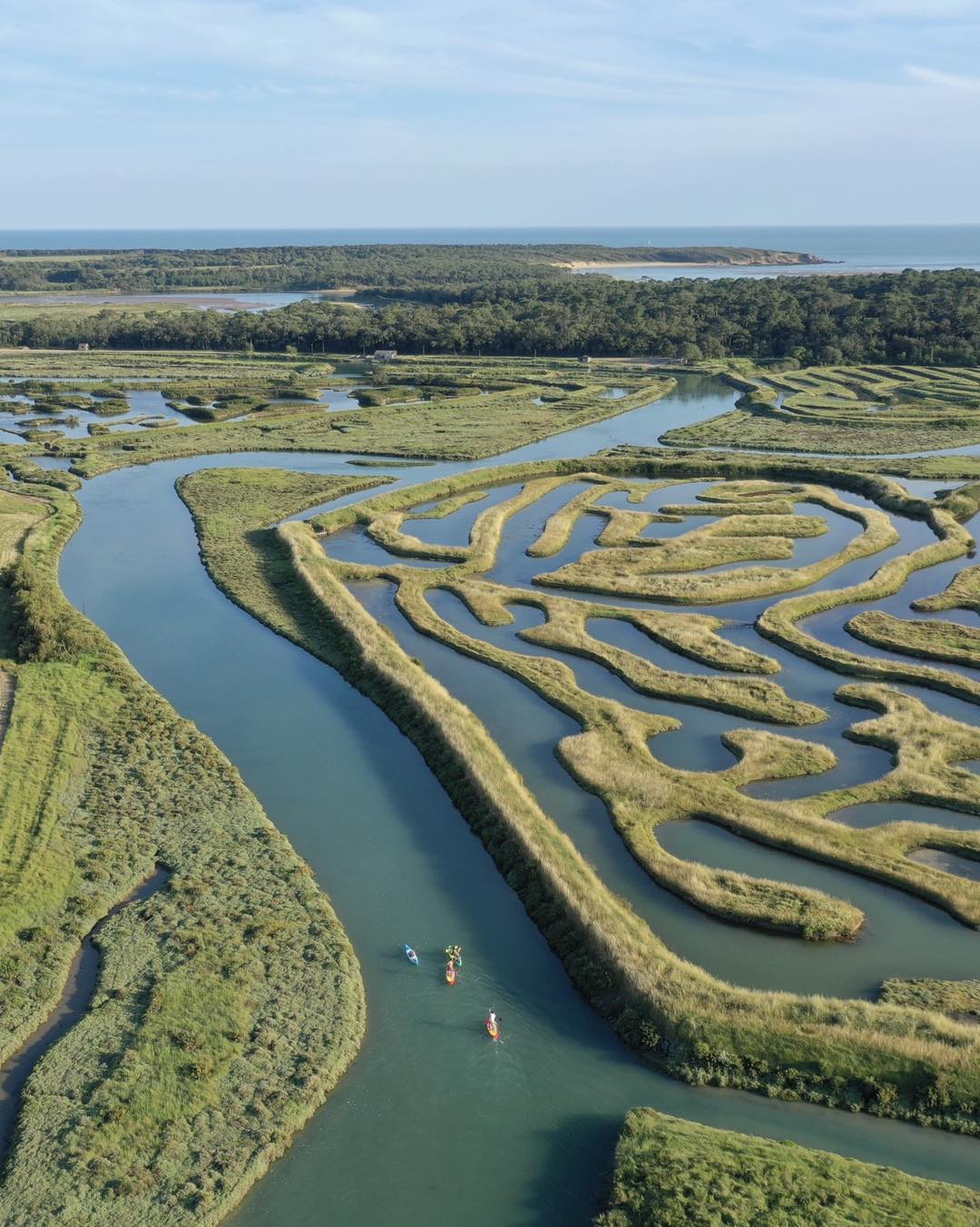 environnement les clayeres