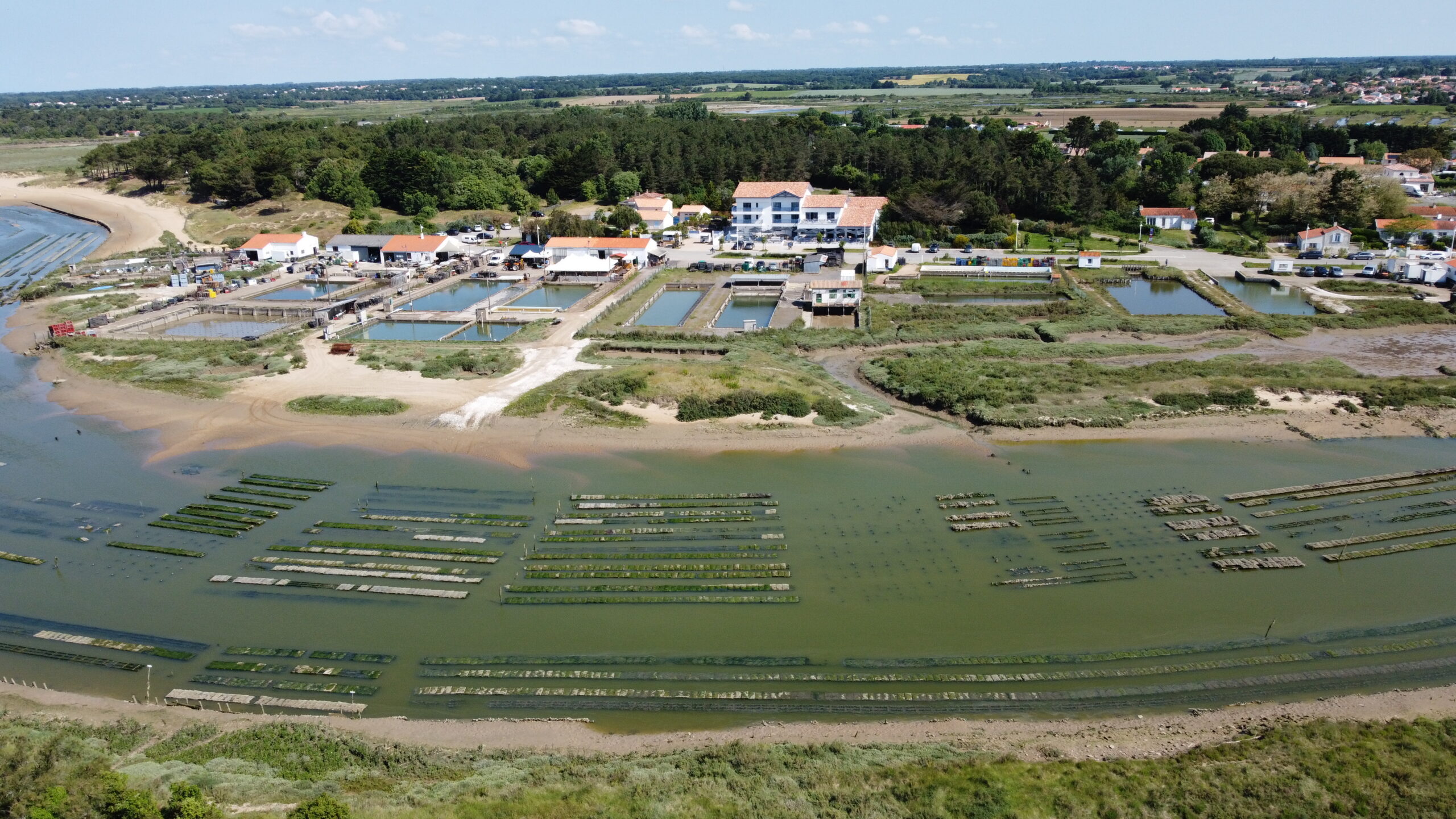 parc ostreicole guittiere scaled